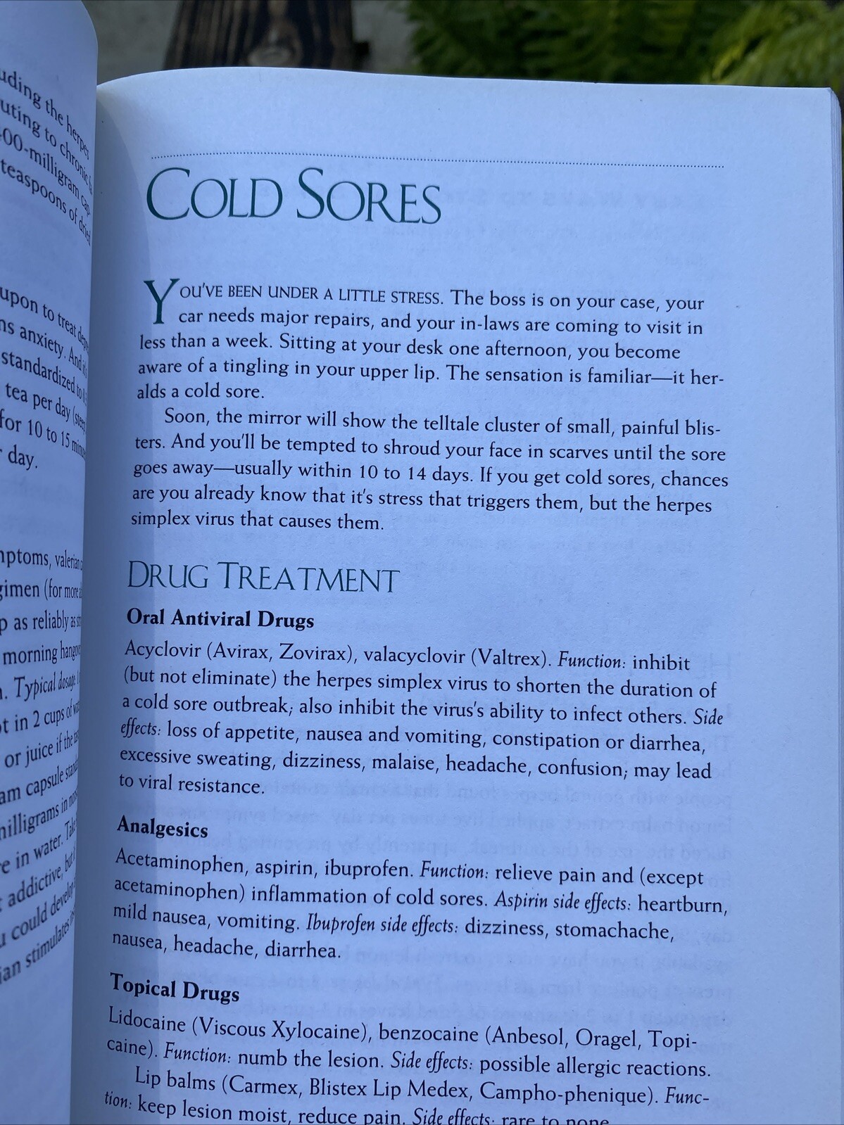 The Herbal Drugstore: The Best Natural Alternatives to Over-the-Counter and …