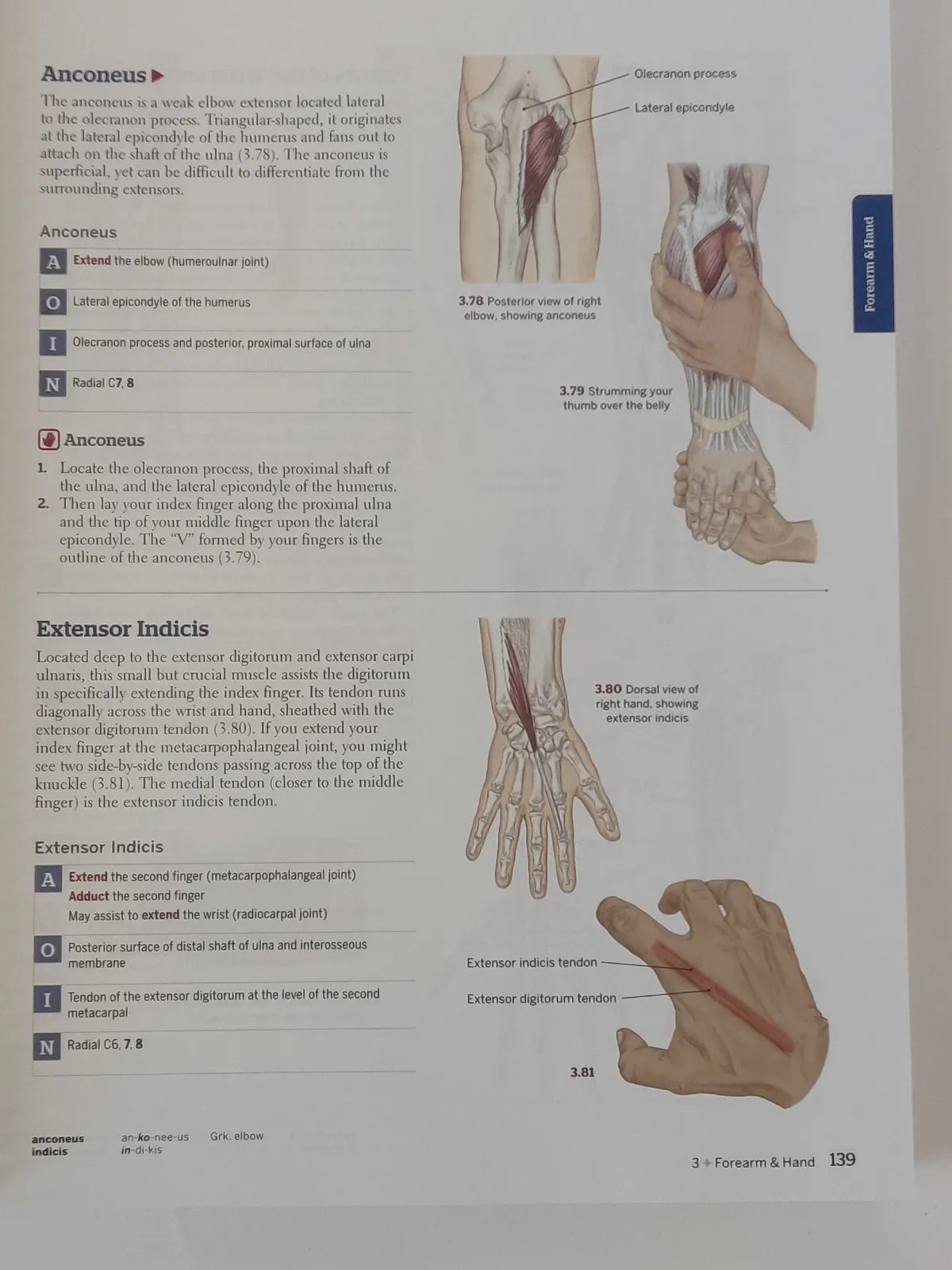 Books Of Discovery Trail Guide To The Body Spiral Bound Textbook White Sixth